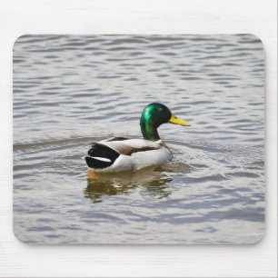 Mallard Drake Mousepad