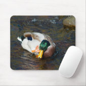 Mallard Drake Mousepad (Mit Mouse)