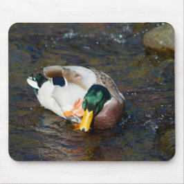 Mallard Drake Mousepad