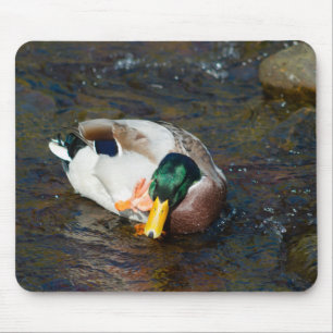 Mallard Drake Mousepad