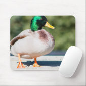 Mallard Drake Mousepad (Mit Mouse)