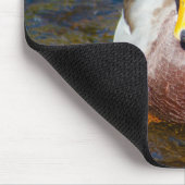Mallard Drake Mousepad (Ecke)
