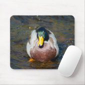 Mallard Drake Mousepad (Mit Mouse)
