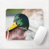 Mallard Drake Mousepad (Mit Mouse)