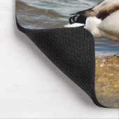 Mallard Drake Mousepad (Ecke)