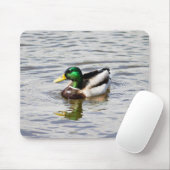 Mallard Drake Mousepad (Mit Mouse)