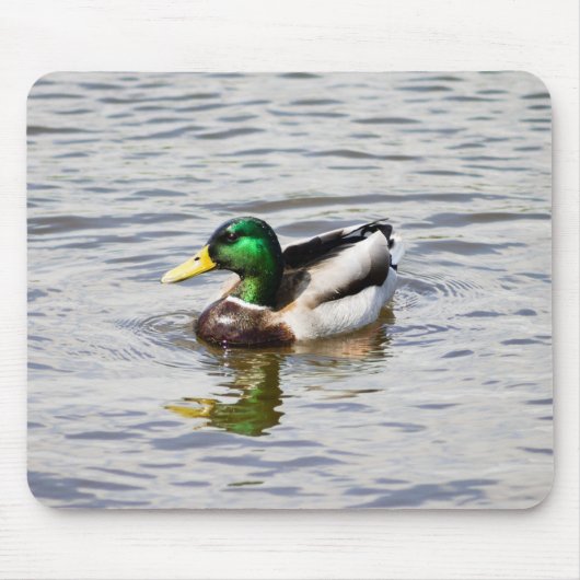 Mallard Drake Mousepad (Vorne)