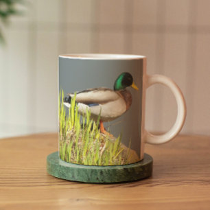 Mallard Drake Nature Foto Tasse