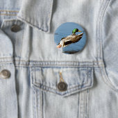 Mallard Drake nimmt Flug Button (Beispiel)