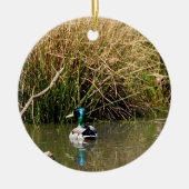 Mallard Drake Ornament (Vorne)