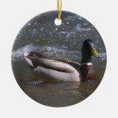 Mallard Drake Ornament (Vorne)