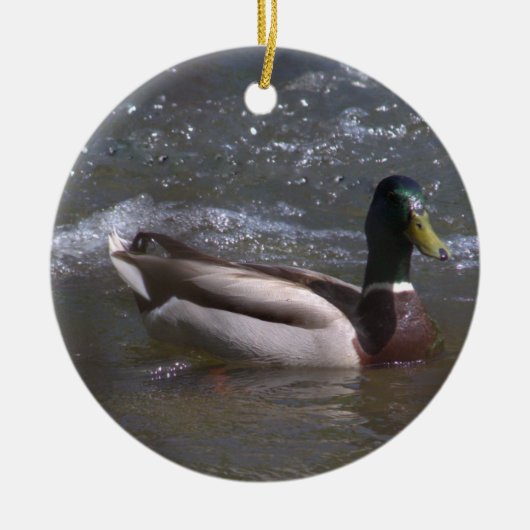 Mallard Drake Ornament (Vorne)