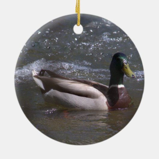 Mallard Drake Ornament (Hinten)