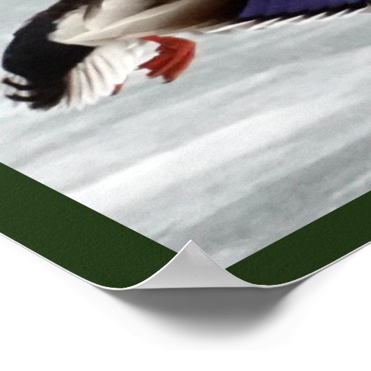 Mallard Drake Poster (Ecke)