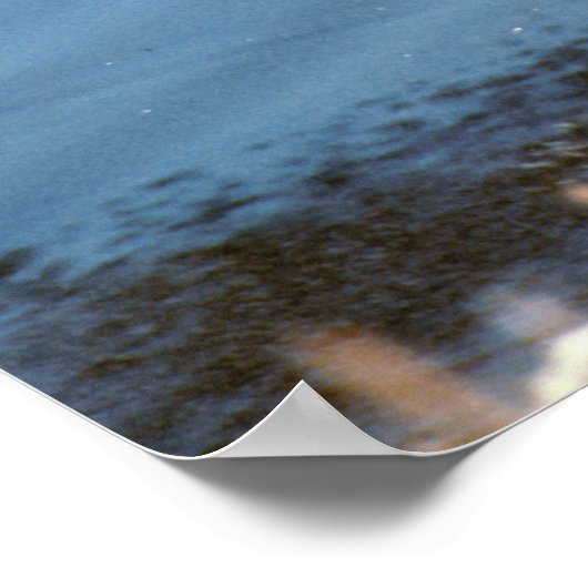 Mallard Drake Poster (Ecke)