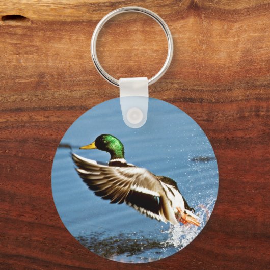 Mallard Drake Schlüsselanhänger (Vorderseite)