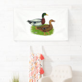Mallard Drake und Duck Banner (Insitu)