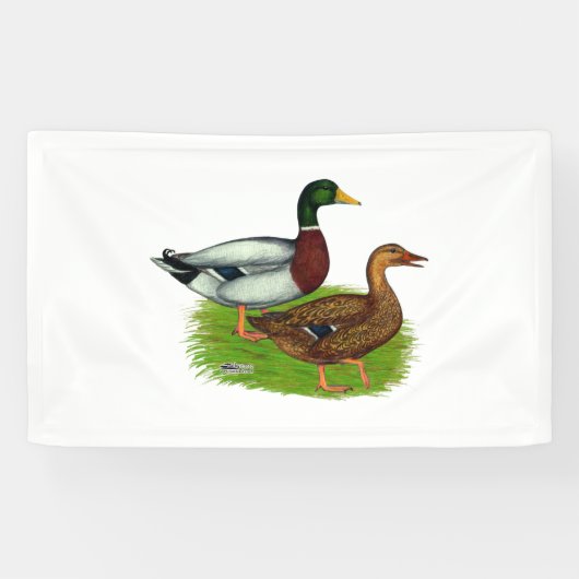 Mallard Drake und Duck Banner (Horizontal)
