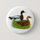 Mallard Drake und Duck Button (Vorderseite)