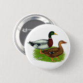 Mallard Drake und Duck Button (Vorne & Hinten)