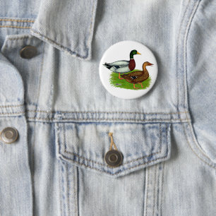 Mallard Drake und Duck Button
