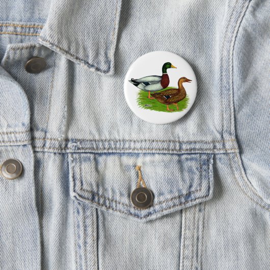 Mallard Drake und Duck Button (Beispiel)