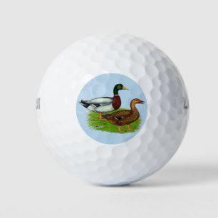 Mallard Drake und Duck Golfball