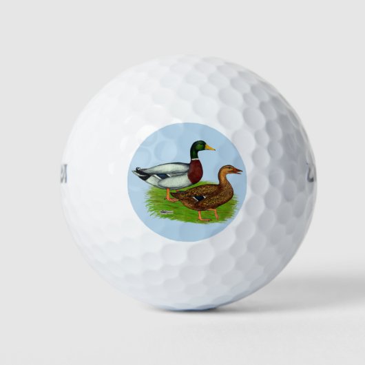 Mallard Drake und Duck Golfball (Vorderseite)