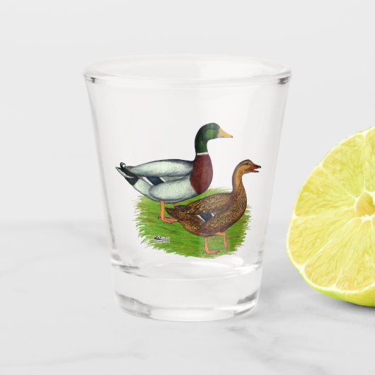Mallard Drake und Duck Schnapsglas (Vorderseite)
