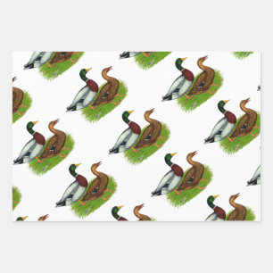 Mallard Drake und Ente Geschenkpapier Set