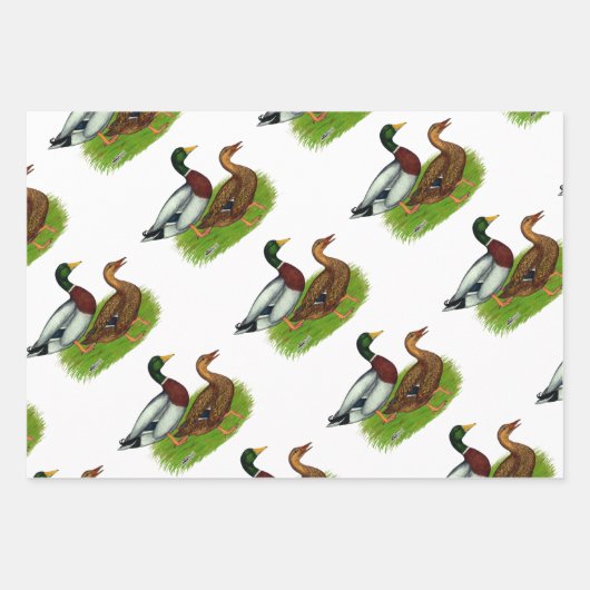 Mallard Drake und Ente Geschenkpapier Set (Vorderseite)