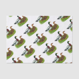 Mallard Drake und Ente Seidenpapier