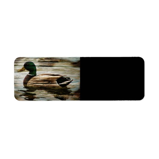 Mallard Duck (Vorne)