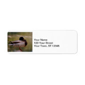 Mallard Duck (Vorne)