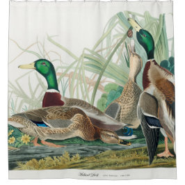 Mallard Duck, 1834, From the Birds of America Duschvorhang
