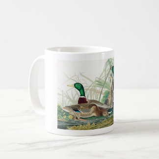 Mallard Duck, 1834, From the Birds of America Kaffeetasse