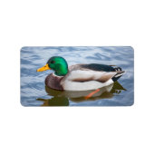 Mallard Duck Adressaufkleber (Vorne)