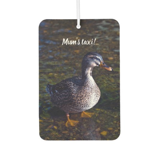 Mallard Duck Air Freshener Autolufterfrischer (Vorderseite)