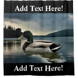 Mallard Duck am Duschvorhang
