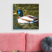 Mallard Duck Artistic Portrait Leinwanddruck (Insitu (Wohnzimmer))
