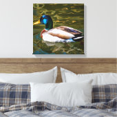 Mallard Duck Artistic Portrait Leinwanddruck (Insitu (Schlafzimmer))