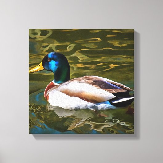 Mallard Duck Artistic Portrait Leinwanddruck (Vorderseite)