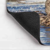Mallard Duck at Downing Park Mousepad (Ecke)