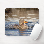 Mallard Duck at Downing Park Mousepad (Mit Mouse)