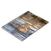 Mallard Duck at Downing Park Notizblock (Linke Seite)