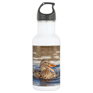 Mallard Duck at Downing Park Trinkflasche