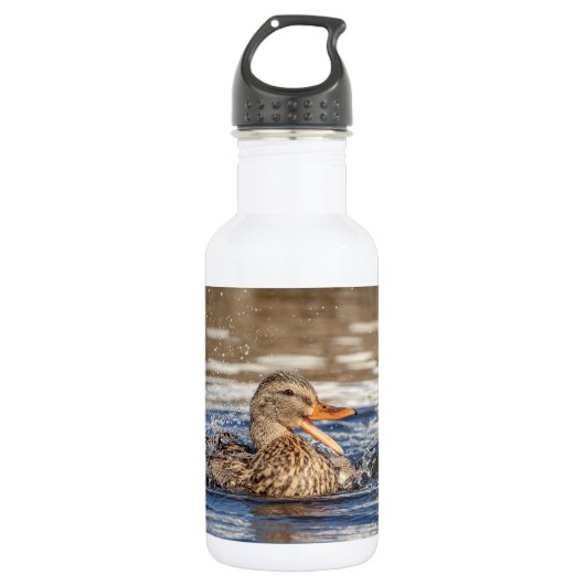 Mallard Duck at Downing Park Trinkflasche (Vorderseite)