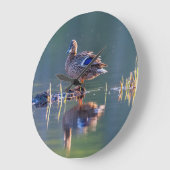 Mallard duck at sunset große wanduhr (Winkel)