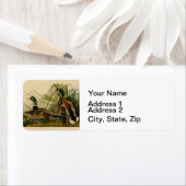 Mallard Duck Audubon Bird Malerei (Insitu)