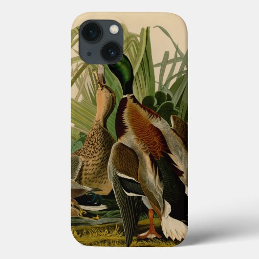 Mallard Duck Audubon Bird Malerei Case-Mate iPhone Hülle (Rückseite)